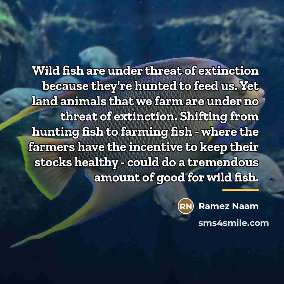 “Wild fish are under threat of extinction because they're hunted…” quote by Ramez Naam
