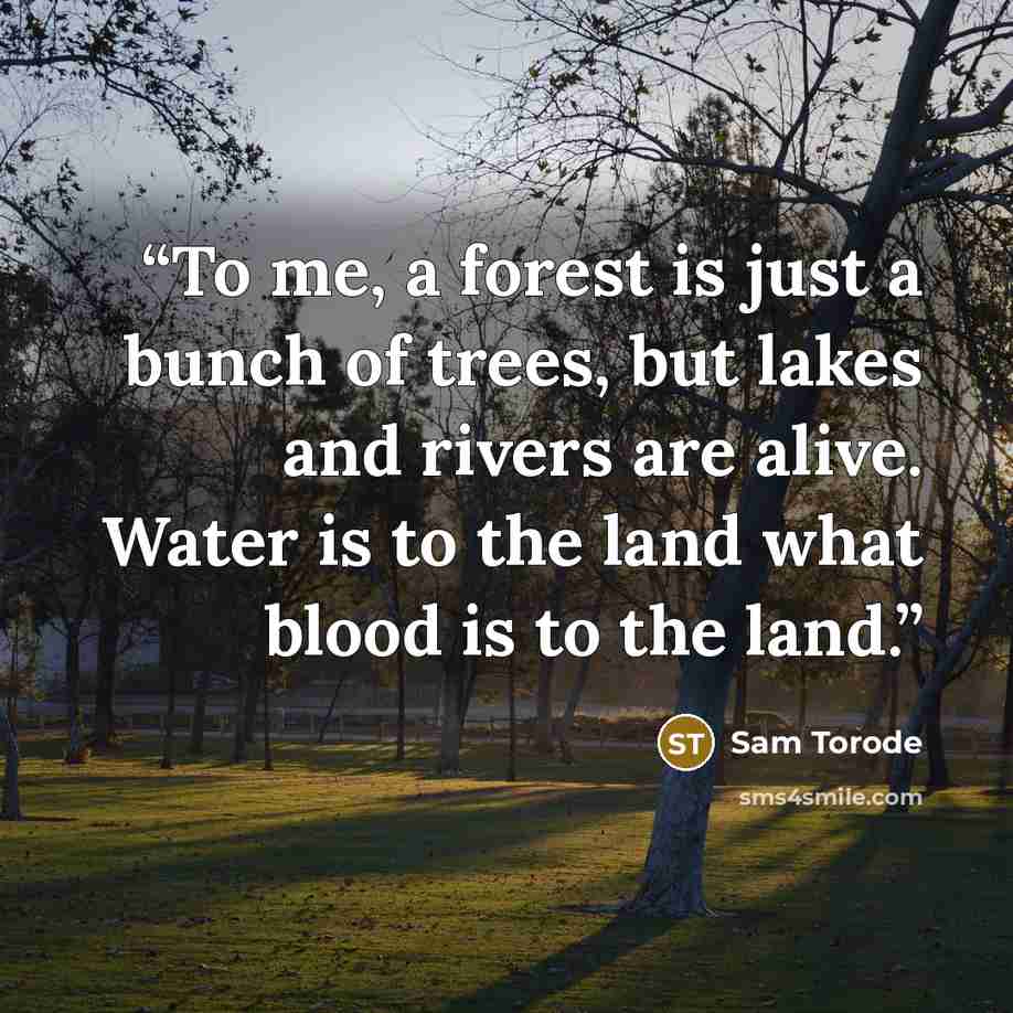 “To me, a forest is just a bunch of trees, but lakes and rivers are alive. Water is to the land what blood is to the land.” quote by Sam Torode