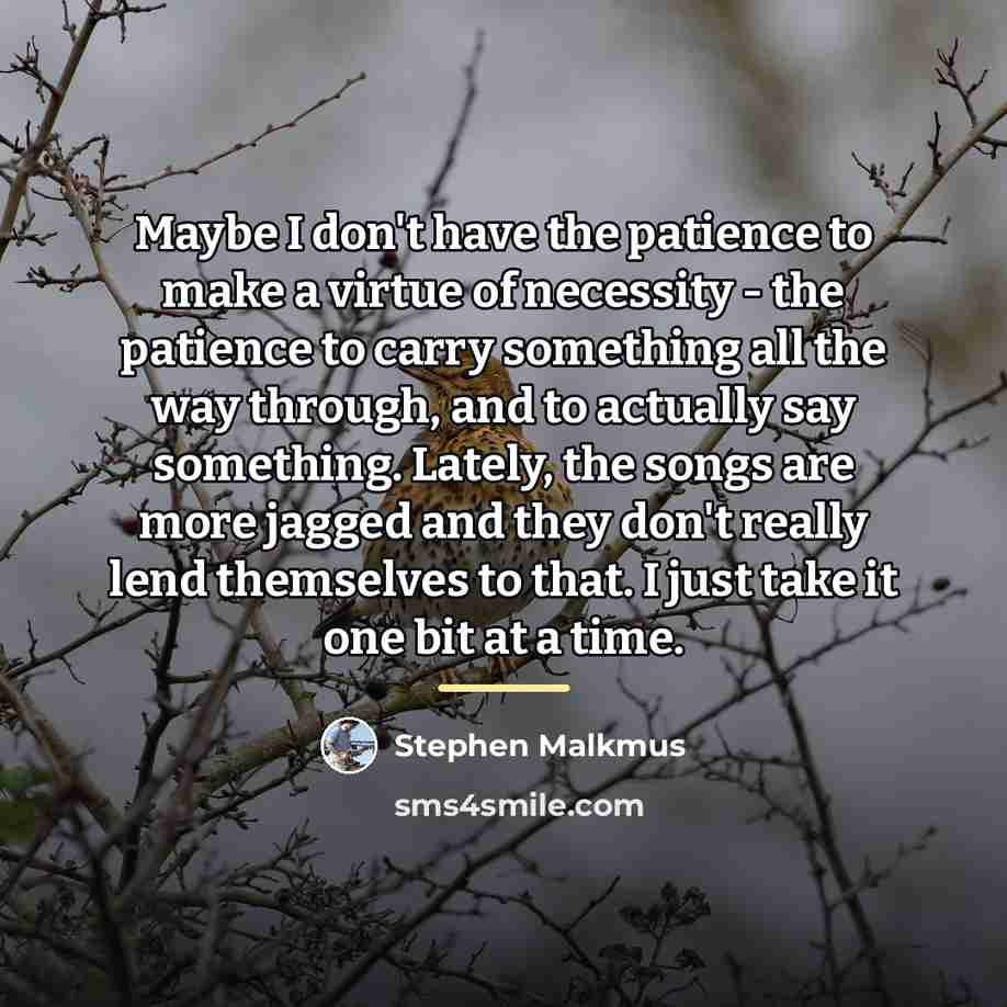 “Maybe I don't have the patience to make a virtue…” quote by Stephen Malkmus