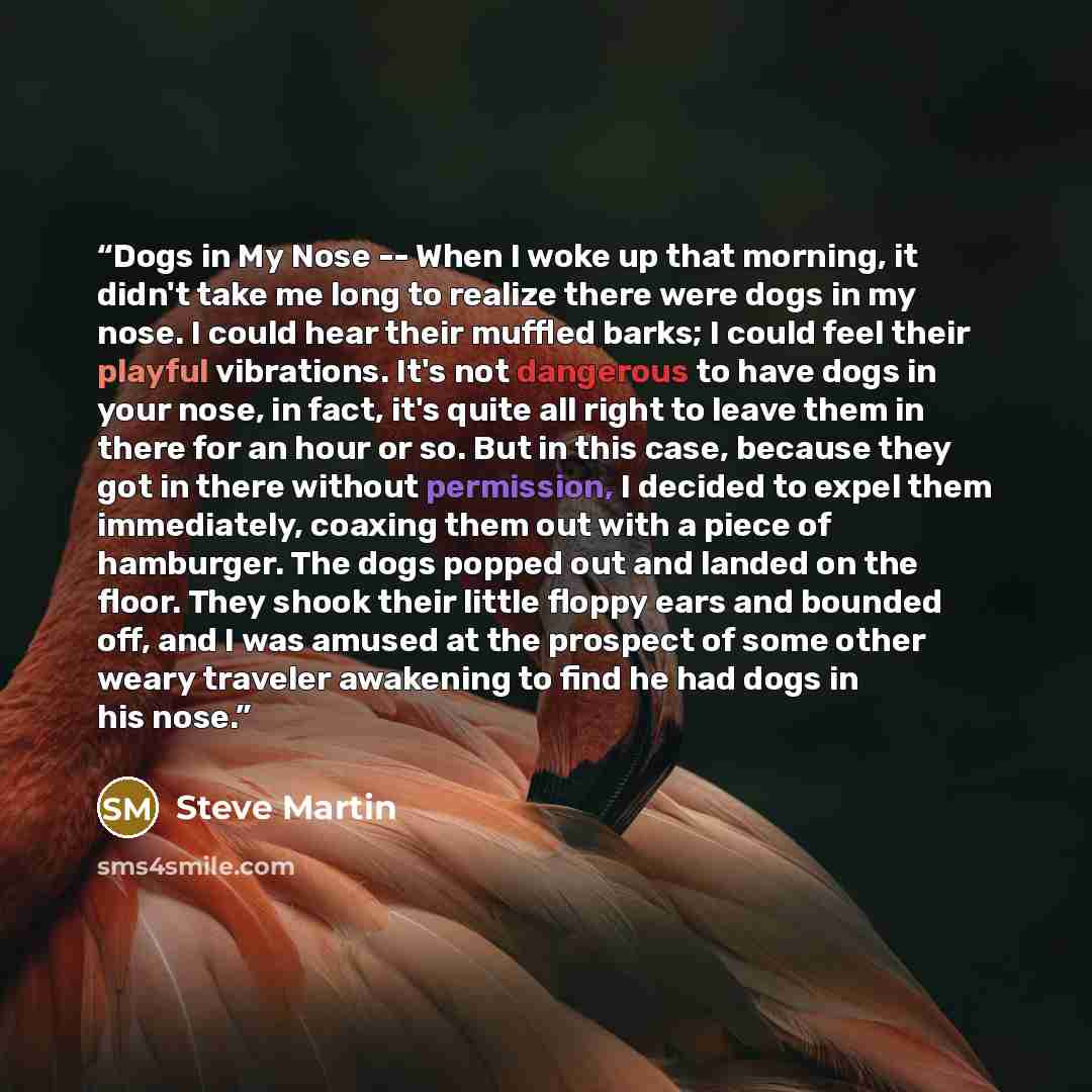 “Dogs in My Nose -- When I woke up that morning, it didn't take me long to realize there were dogs in my nose. I could hear their muffled barks; I could feel their playful vibrations. It's not dangerous to have dogs in your nose, in fact, it's quite all right to leave them in there for an hour or…” quote by Steve Martin