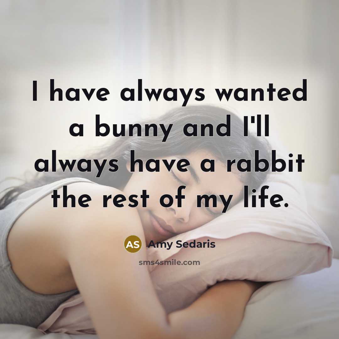 “I have always wanted a bunny and I'll always have…” quote by Amy Sedaris
