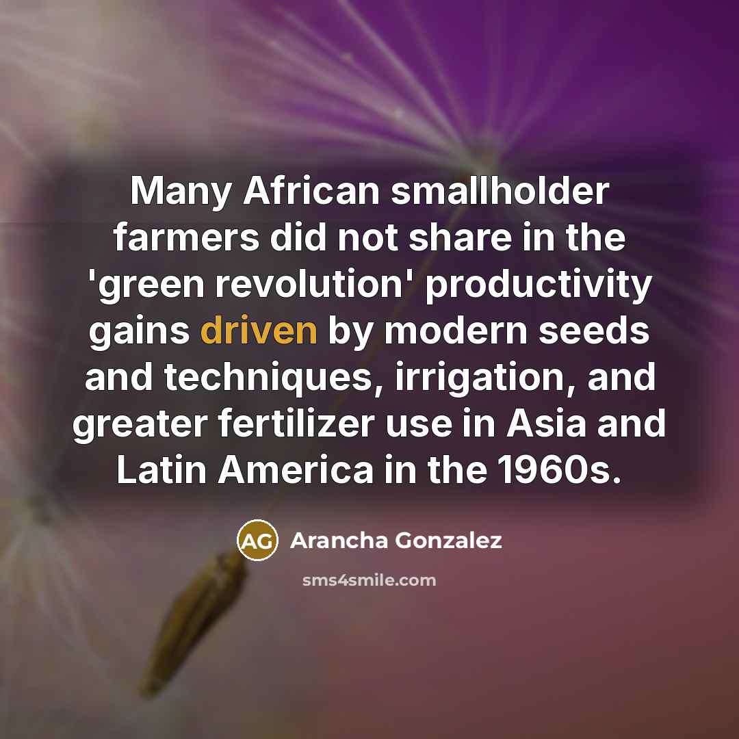 “Many African smallholder farmers did not share in the 'green…” quote by Arancha Gonzalez