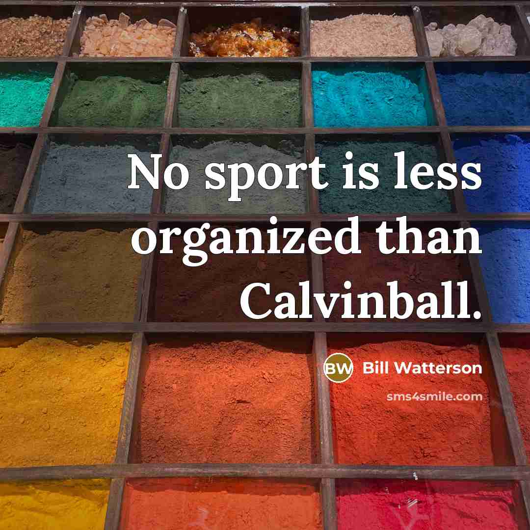 “No sport is less organized than Calvinball.…” quote by Bill Watterson