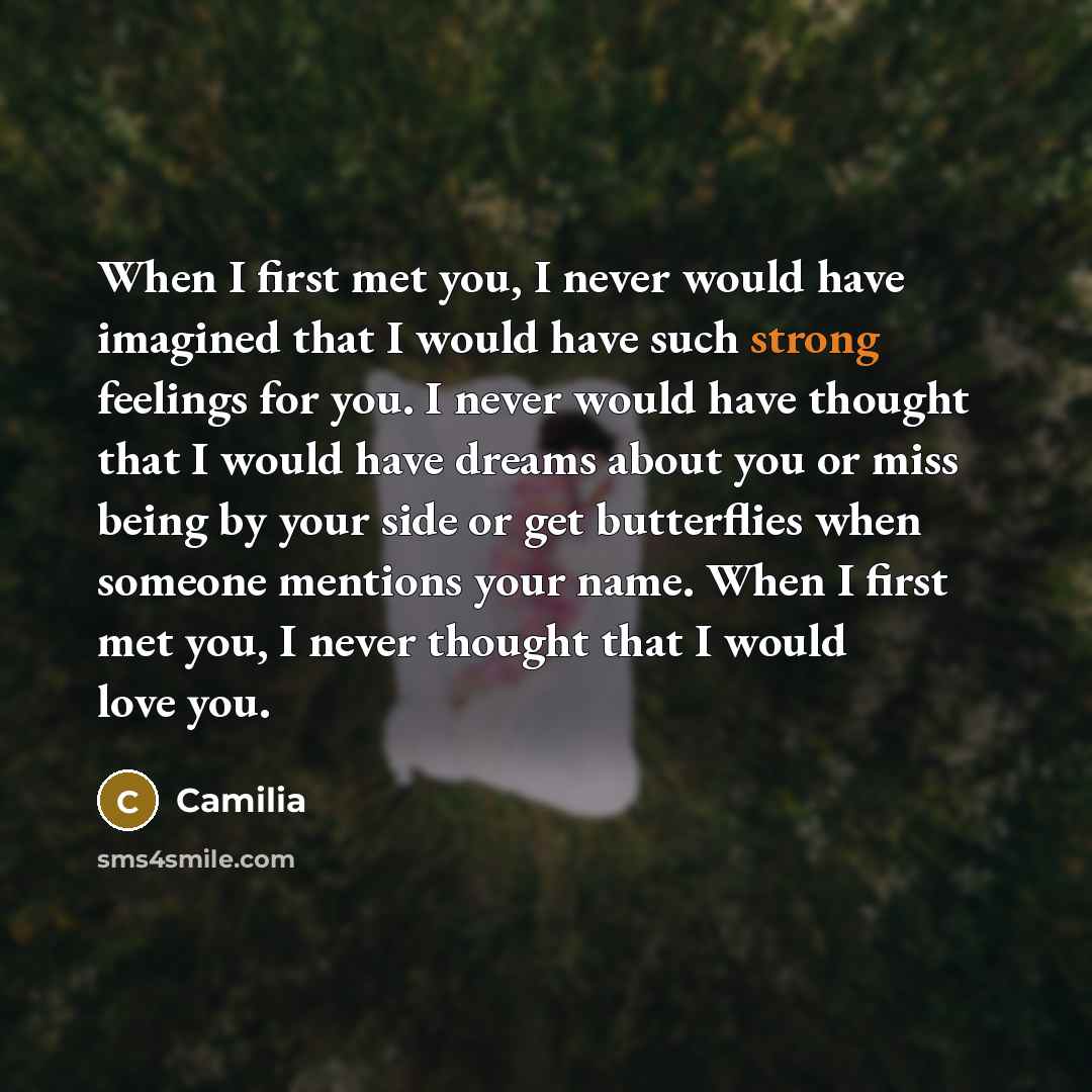 “When I first met you, I never would have imagined…” quote by Camilia