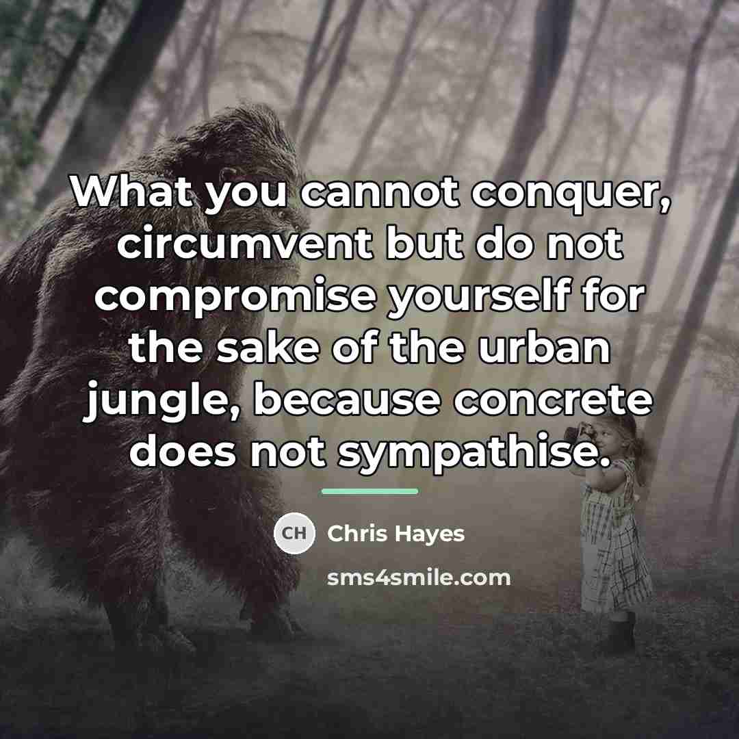 “What you cannot conquer, circumvent but do not compromise yourself…” quote by Chris Hayes