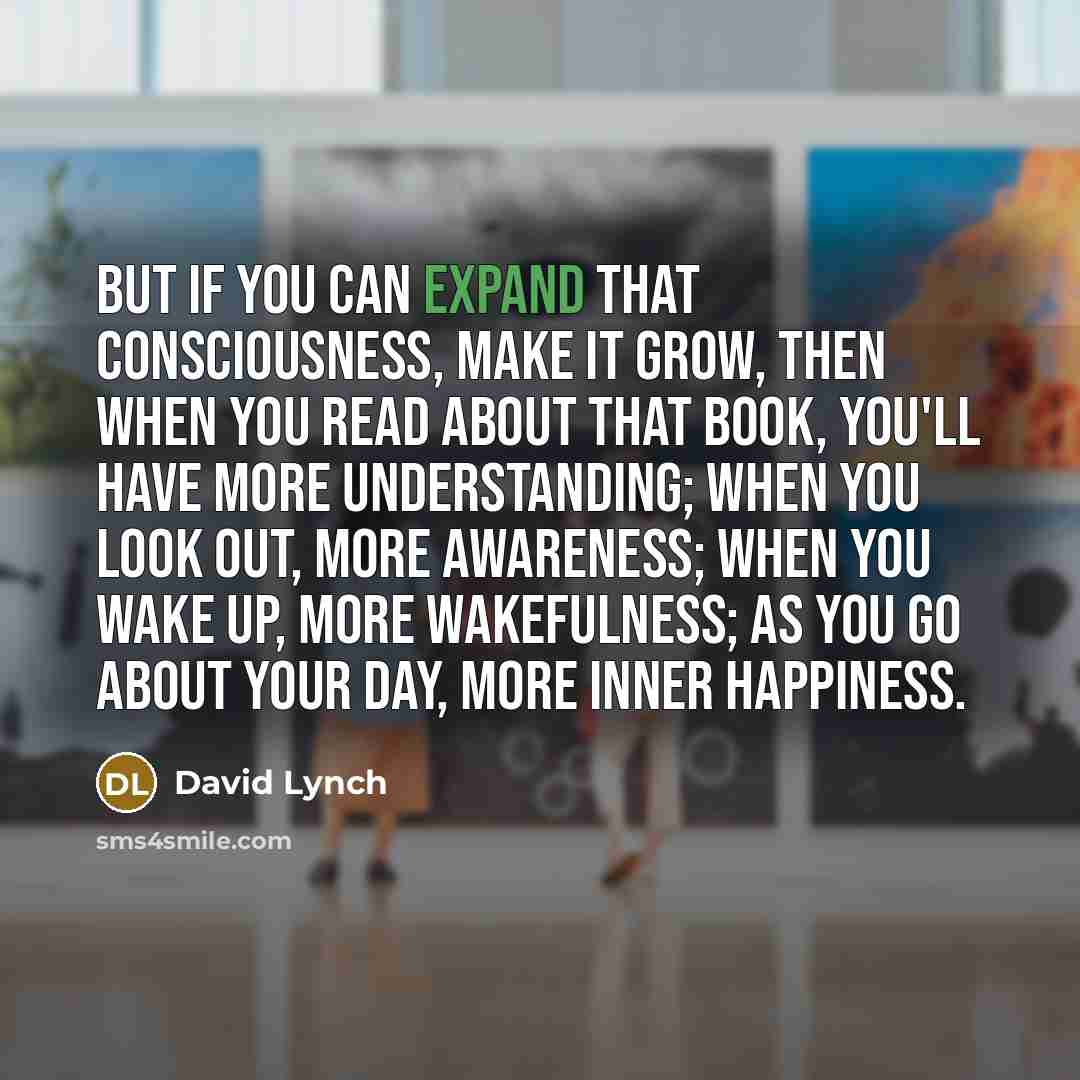 “But if you can expand that consciousness, make it grow,…” quote by David Lynch