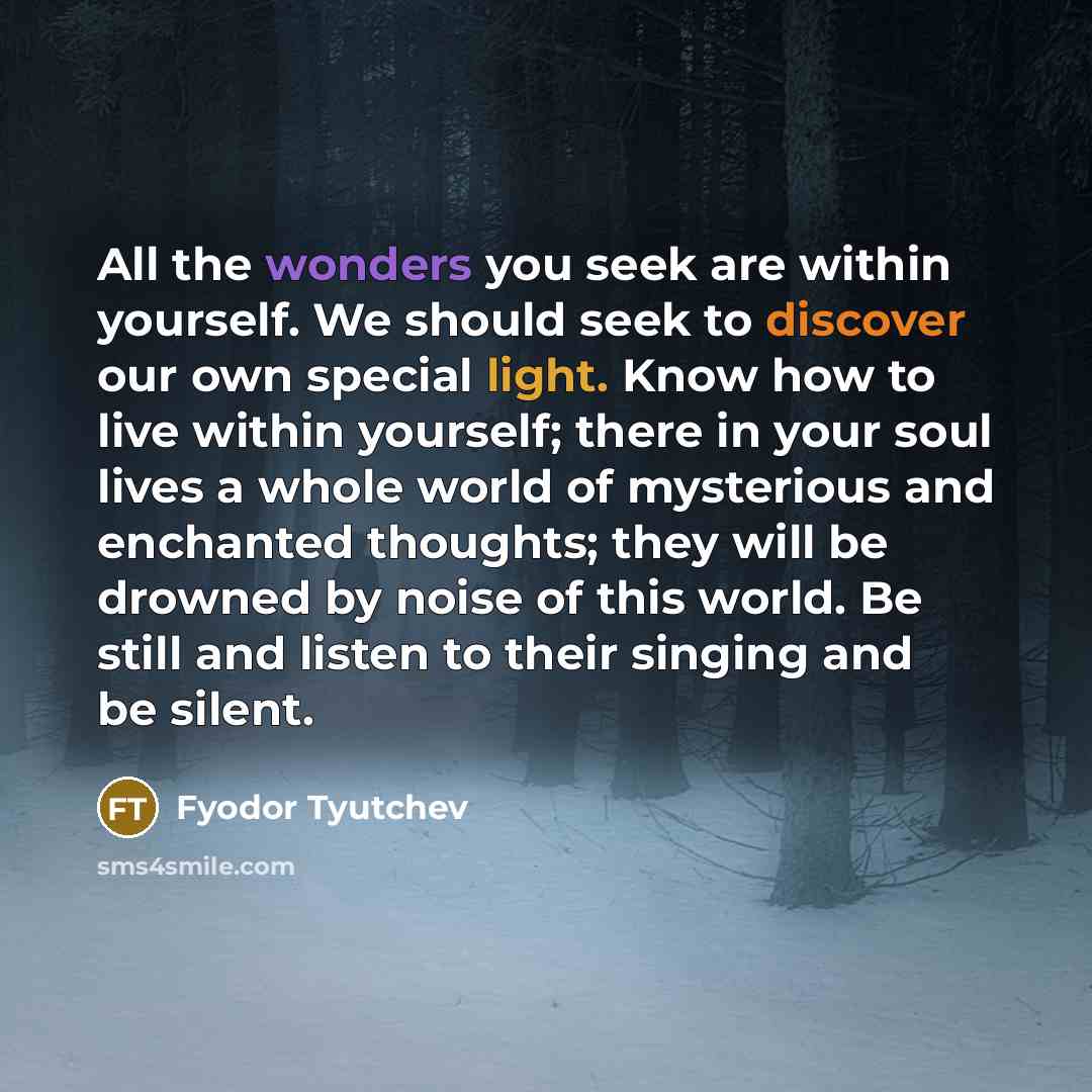 “All the wonders you seek are within yourself. We should…” quote by Fyodor Tyutchev