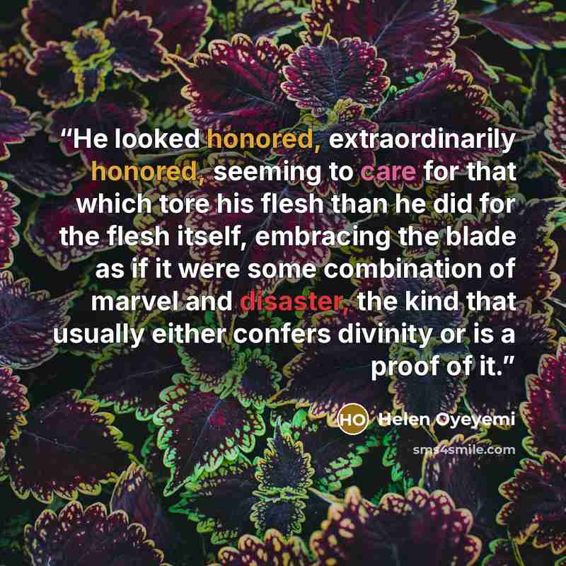 “He looked honored, extraordinarily honored, seeming to care for that which tore his flesh than he did for the flesh itself, embracing the blade as if it were some combination of marvel and disaster, the kind that usually either confers divinity or is a proof of it.” quote by Helen Oyeyemi