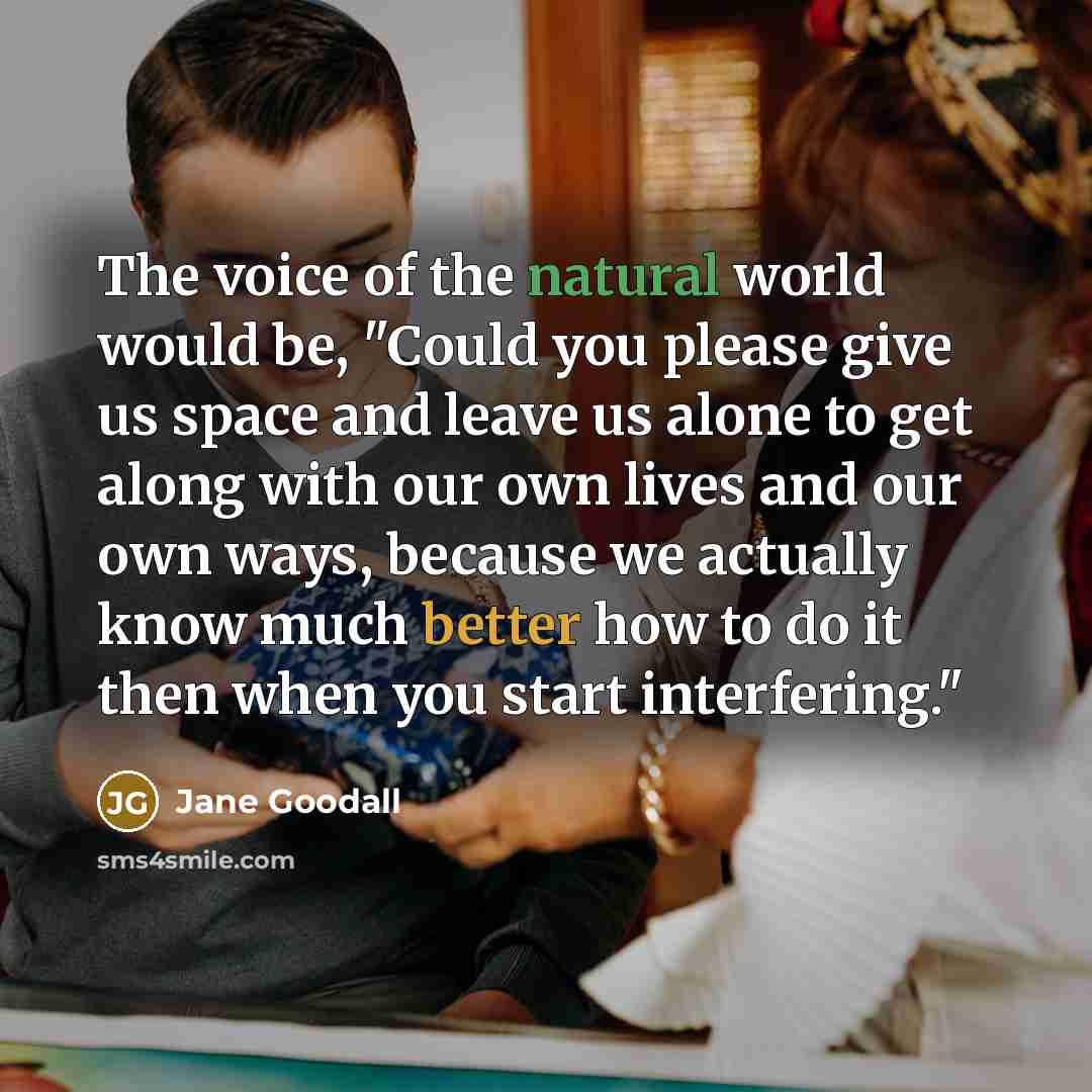 “The voice of the natural world would be, "Could you…” quote by Jane Goodall