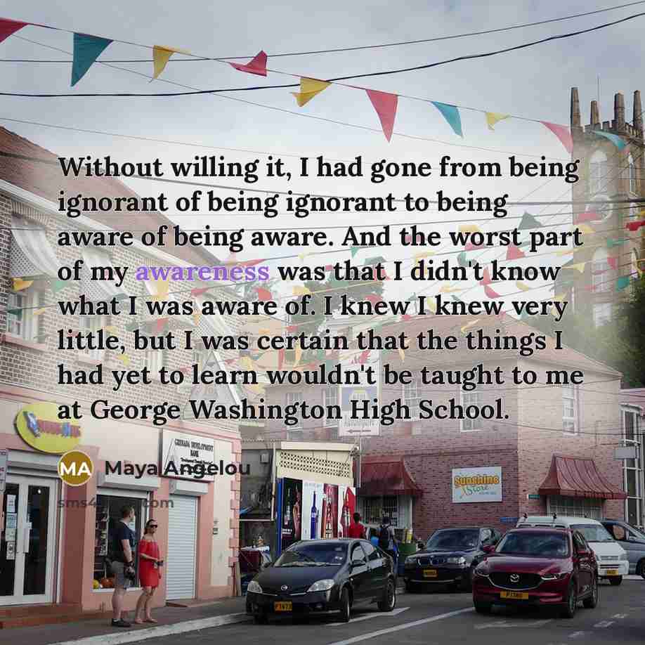 “Without willing it, I had gone from being ignorant of…” quote by Maya Angelou