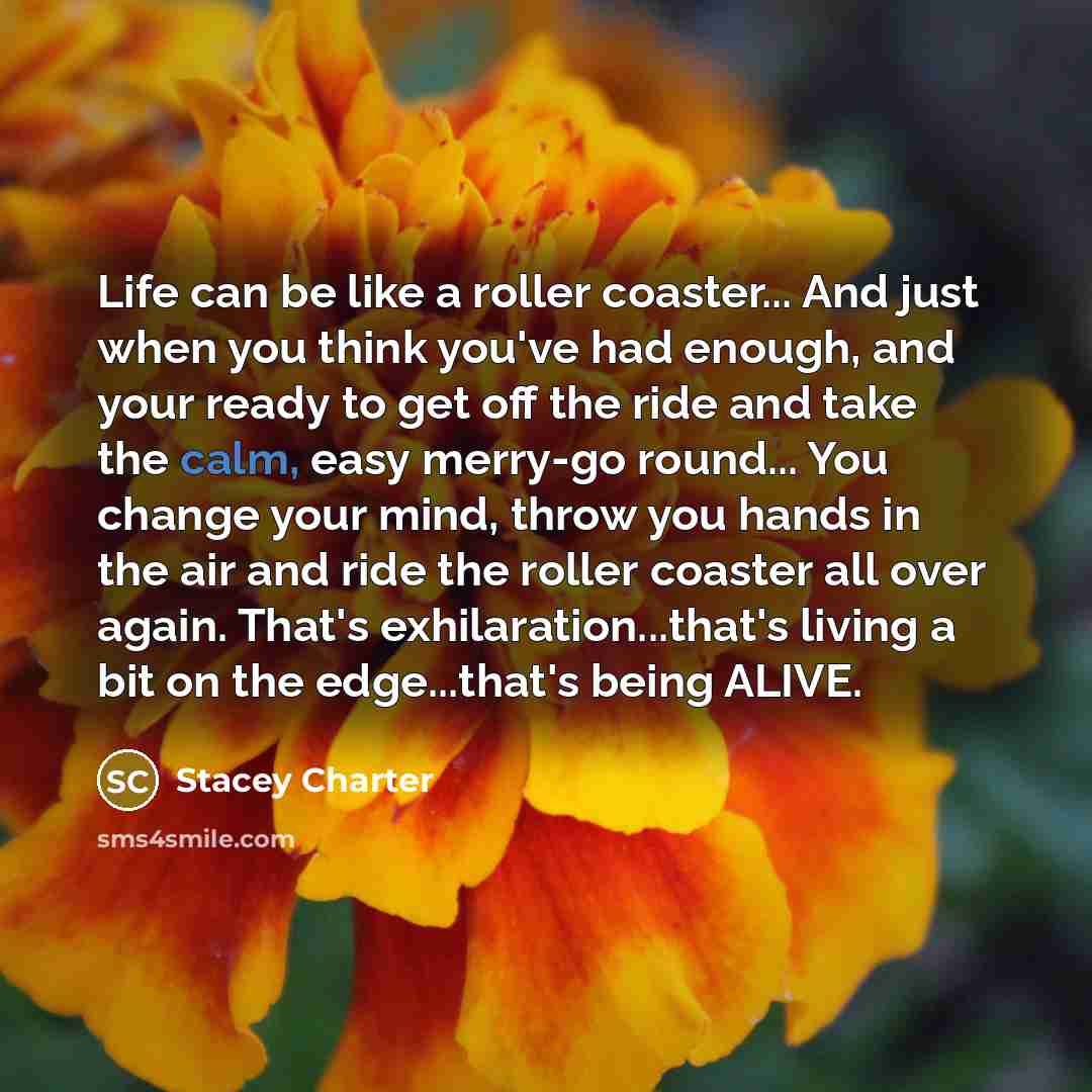 “Life can be like a roller coaster... And just when…” quote by Stacey Charter