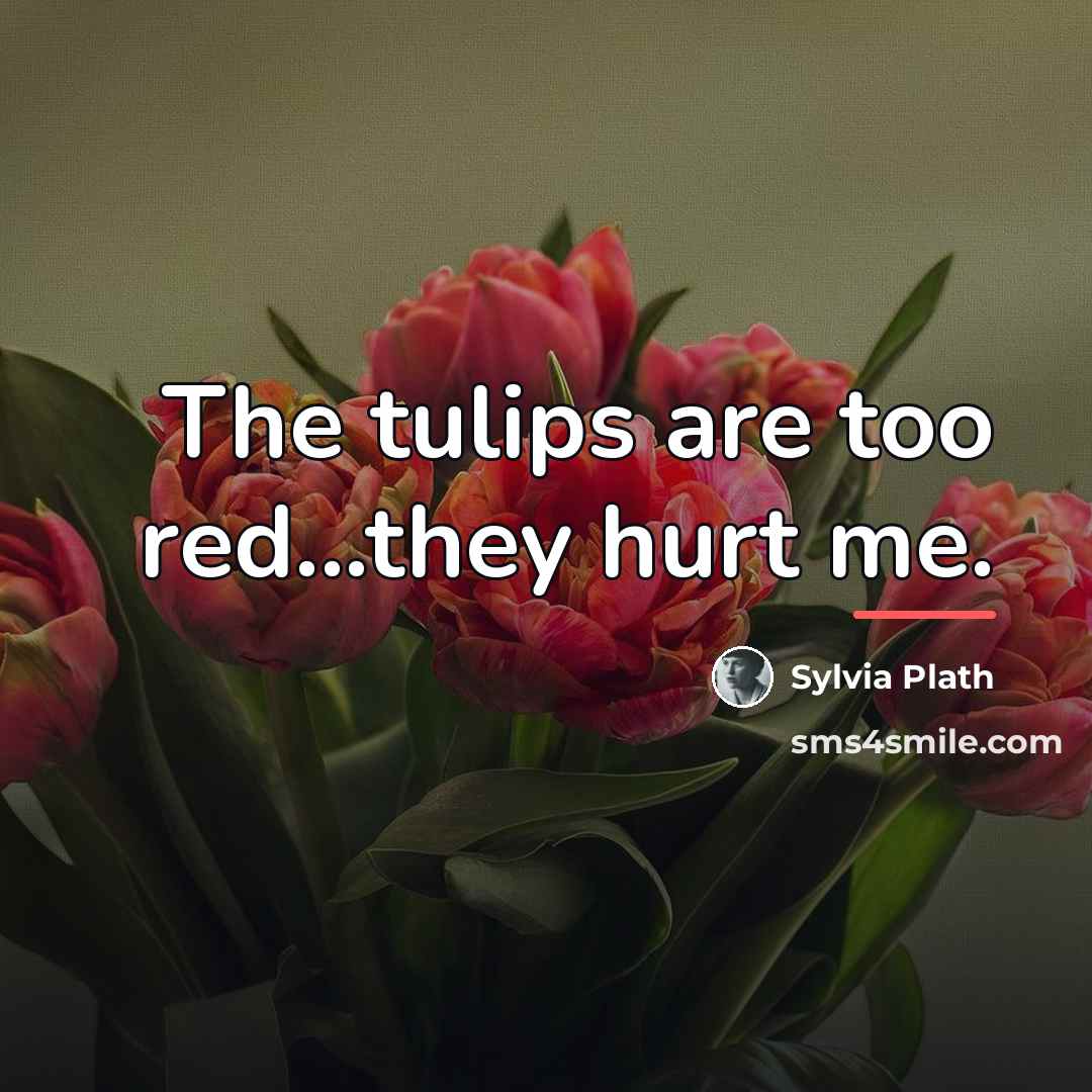 “The tulips are too red...they hurt me.…” quote by Sylvia Plath