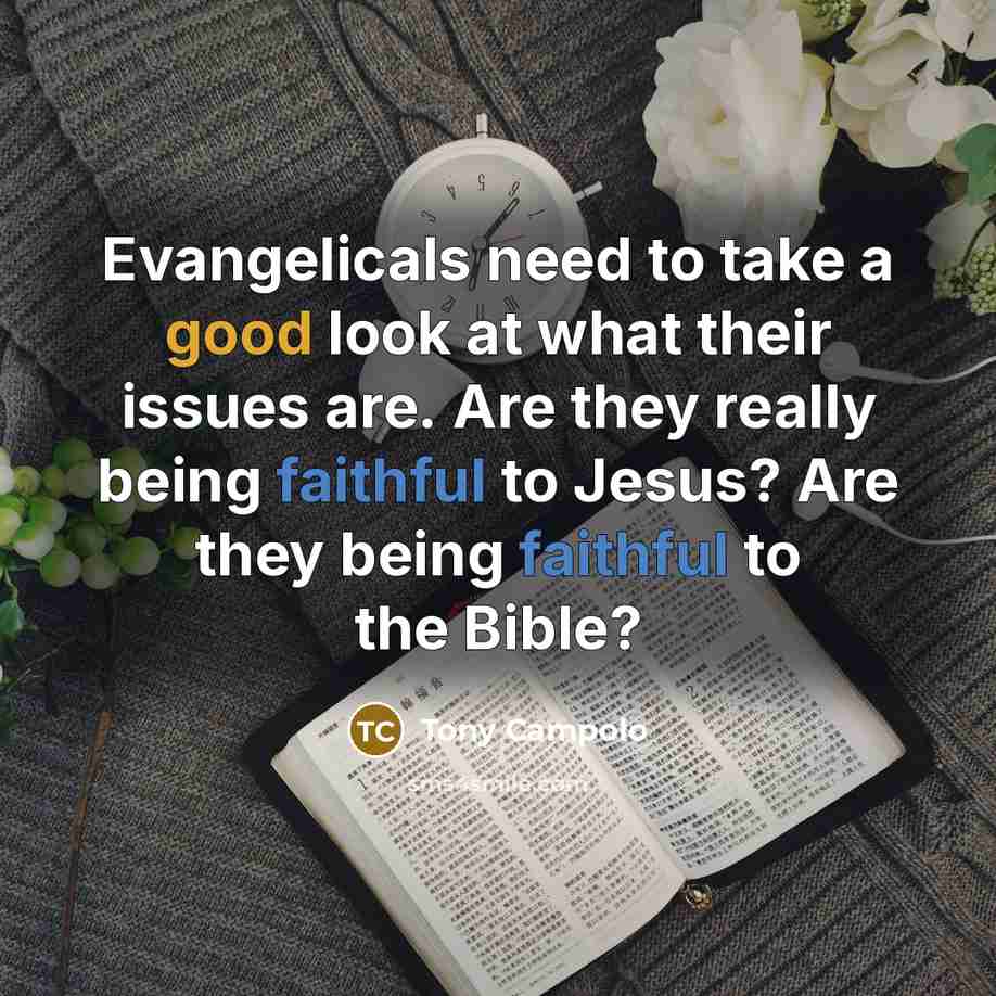 “Evangelicals need to take a good look at what their…” quote by Tony Campolo