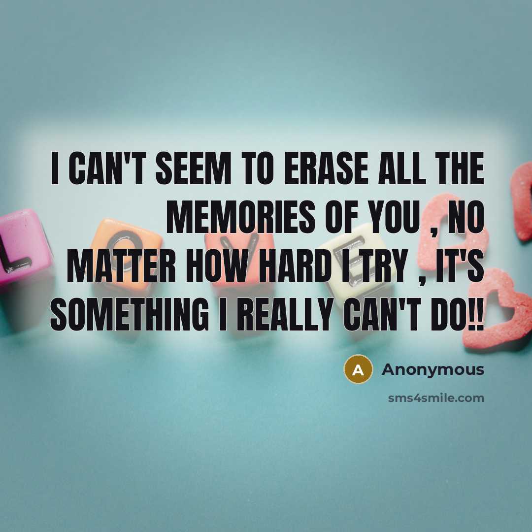 “I can't seem to erase all the memories of you…” quote by Anonymous