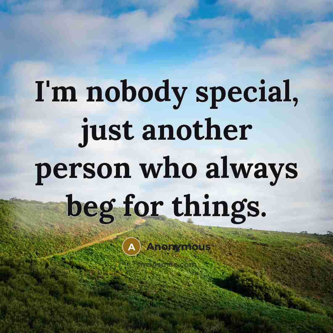 “I'm nobody special, just another person who always beg for…” quote by Anonymous