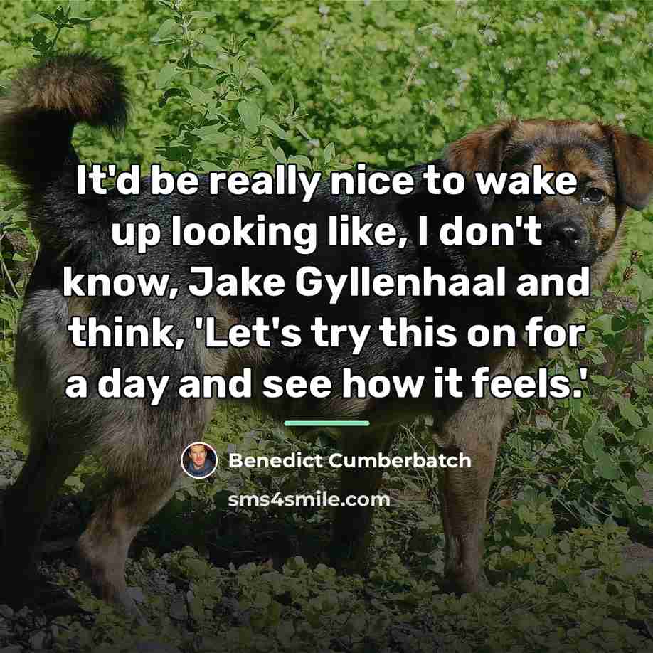“It'd be really nice to wake up looking like, I…” quote by Benedict Cumberbatch