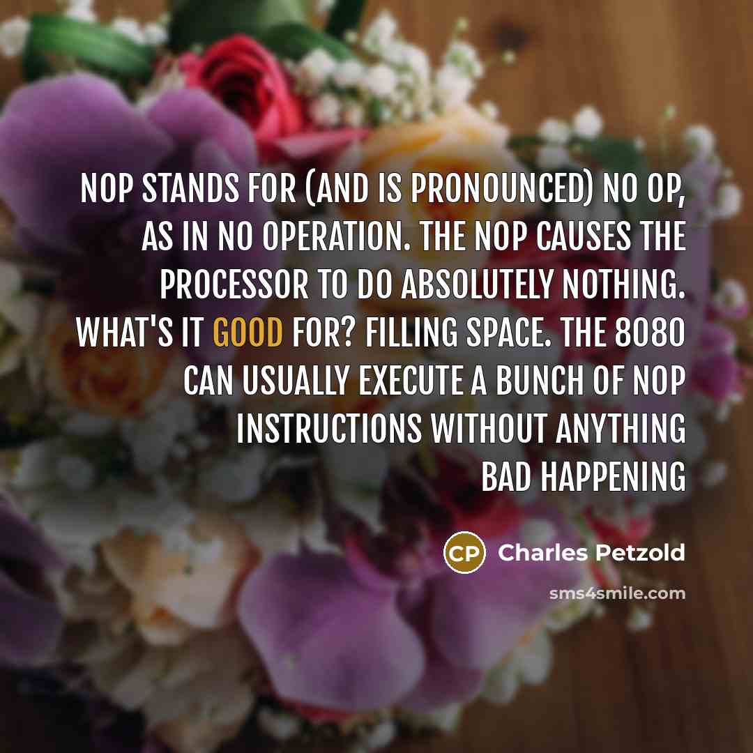 “NOP stands for (and is pronounced) no op, as in…” quote by Charles Petzold