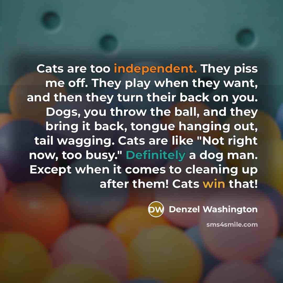 “Cats are too independent. They piss me off. They play…” quote by Denzel Washington