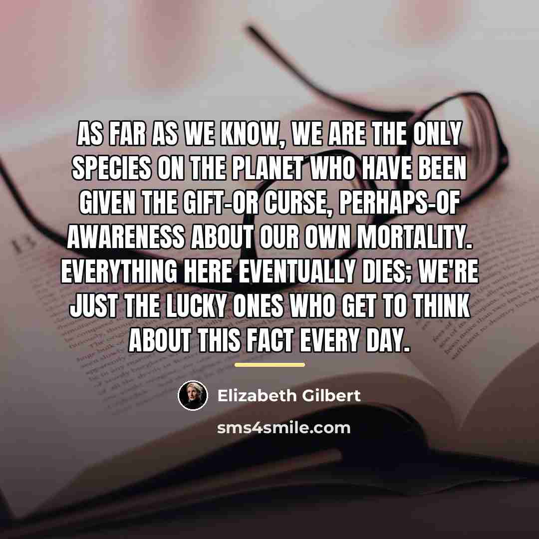 “As far as we know, we are the only species…” quote by Elizabeth Gilbert