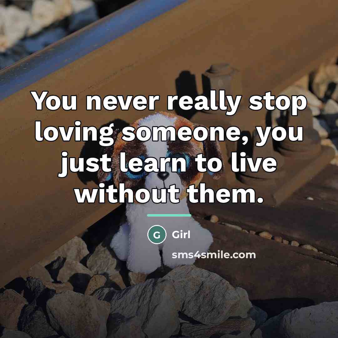 “You never really stop loving someone, you just learn to…” quote by Anonymous