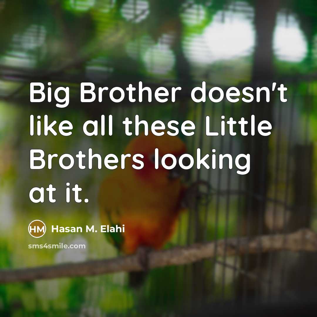 “Big Brother doesn't like all these Little Brothers looking at…” quote by Hasan M. Elahi