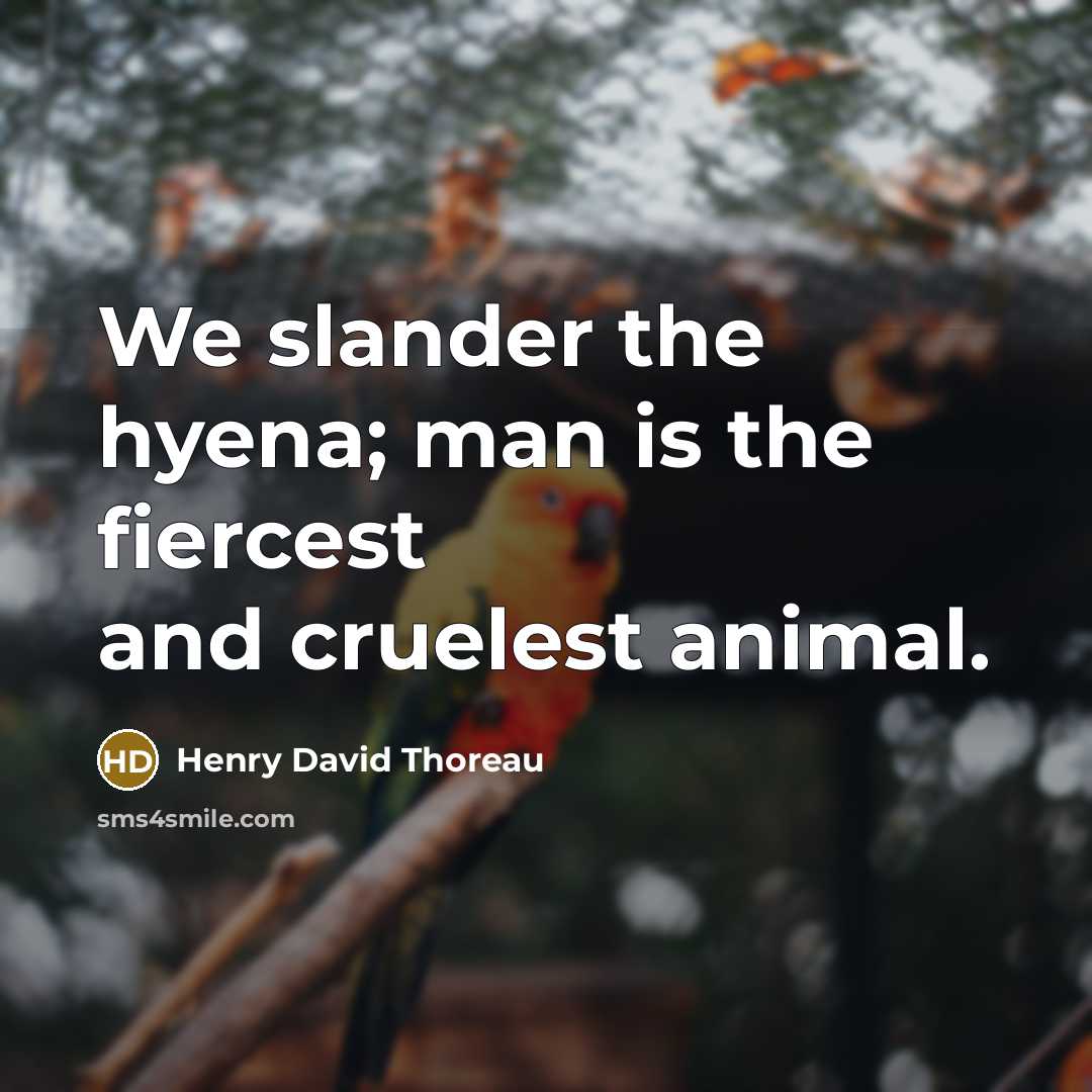 “We slander the hyena; man is the fiercest and cruelest…” quote by Henry David Thoreau