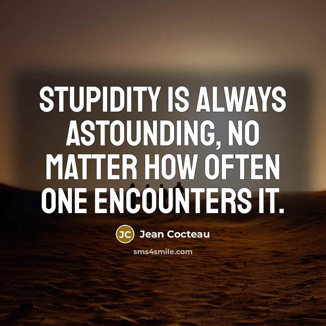 “Stupidity is always astounding, no matter how often one encounters it.” quote by Jean Cocteau