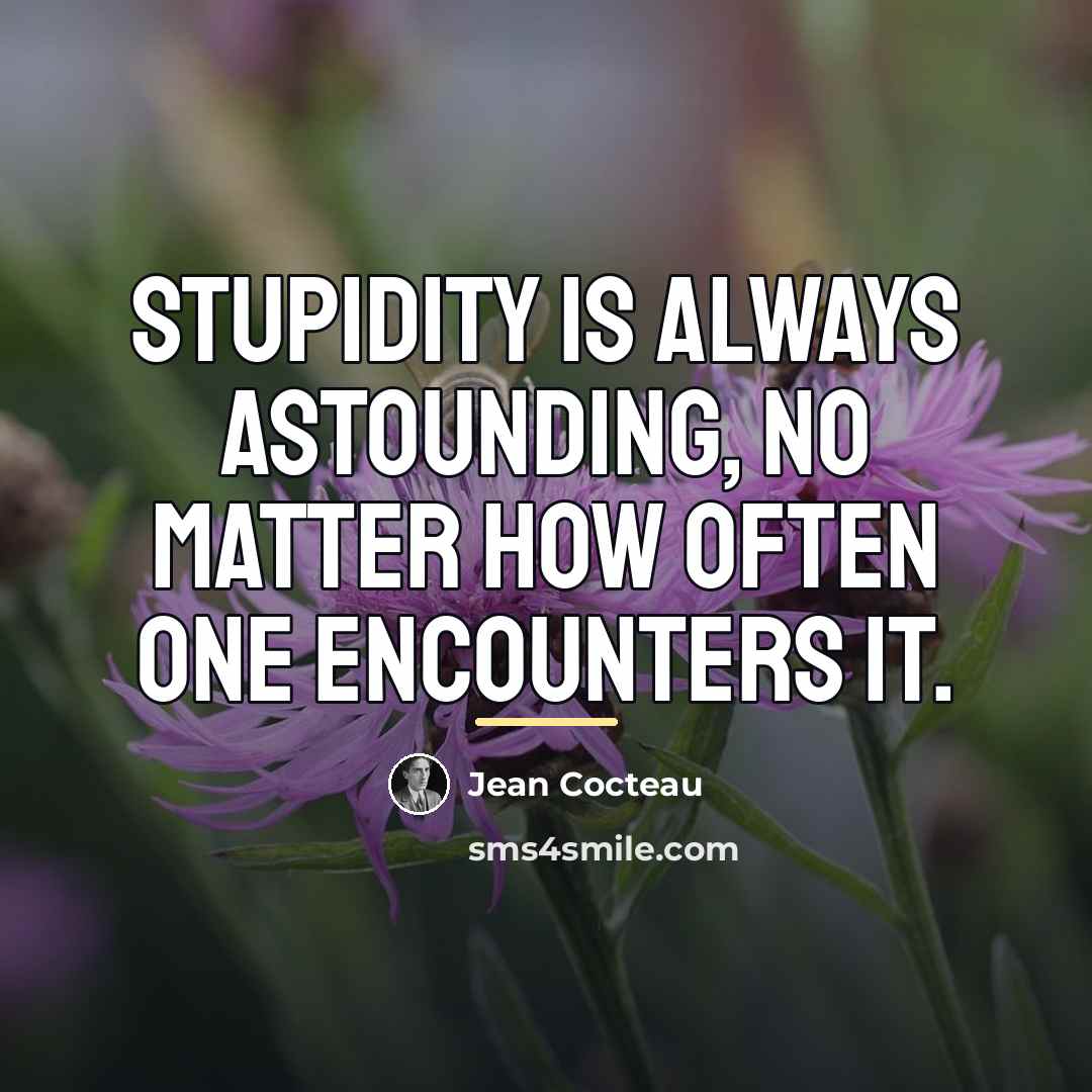 “Stupidity is always astounding, no matter how often one encounters…” quote by Jean Cocteau