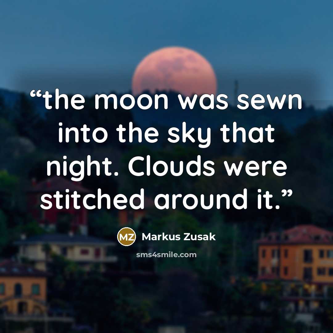 “the moon was sewn into the sky that night. Clouds were stitched around it.” quote by Markus Zusak