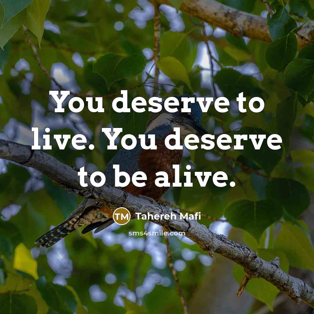 “You deserve to live. You deserve to be alive.…” quote by Tahereh Mafi