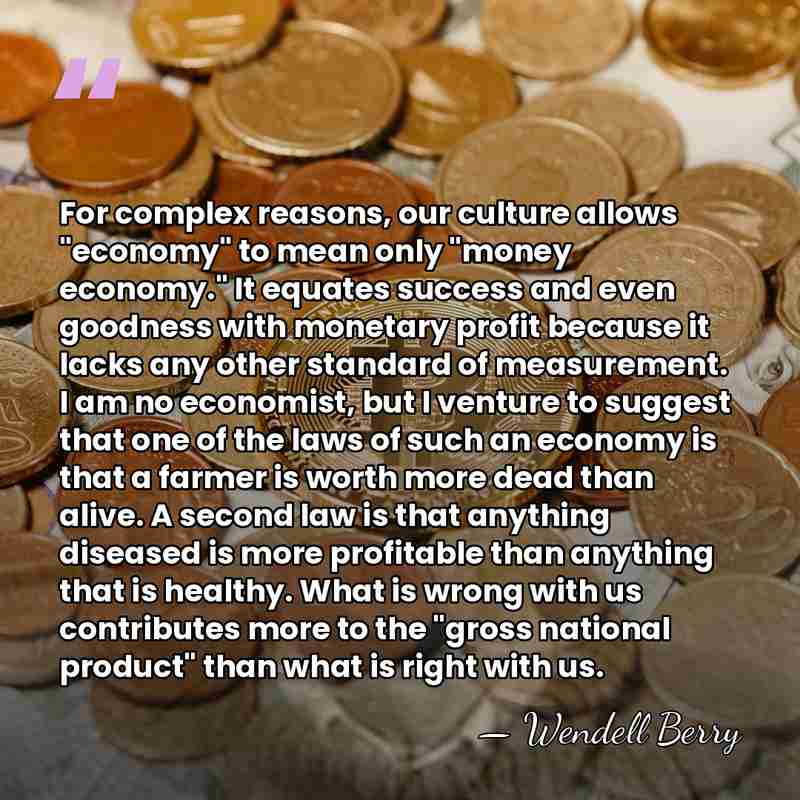 For complex reasons, our culture allows "economy" to mean only "money economy."&hellip; - Wendell Berry