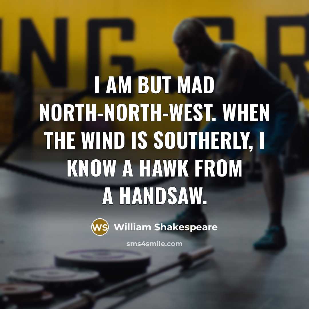 “I am but mad north-north-west. When the wind is southerly,…” quote by William Shakespeare