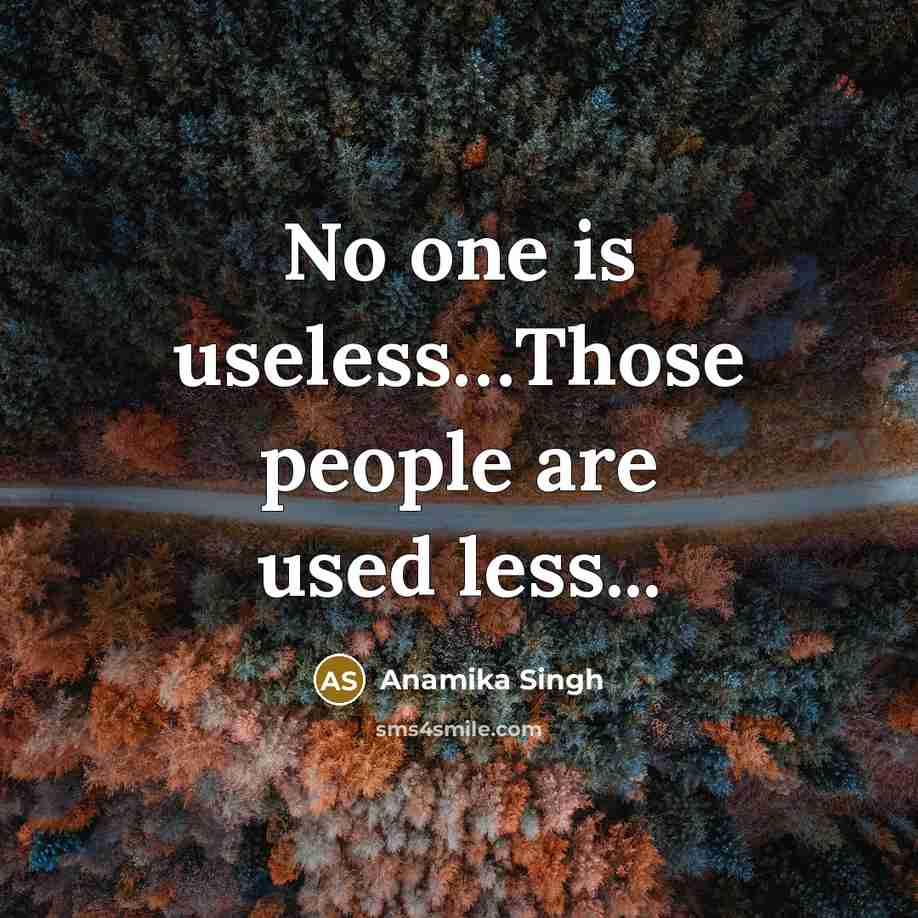 “No one is useless....Those people are used less...…” quote by Anamika Singh