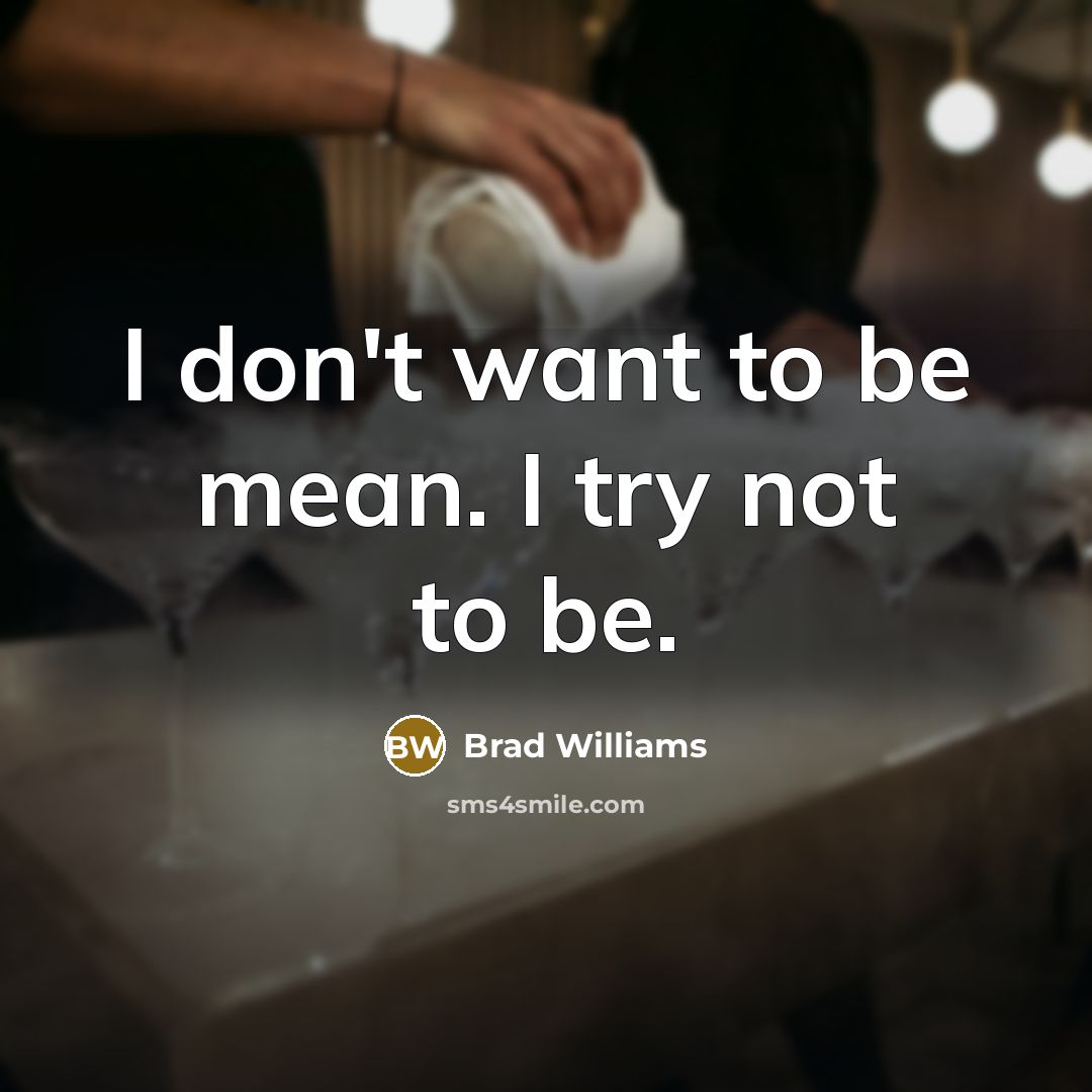 “I don't want to be mean. I try not to…” quote by Brad Williams