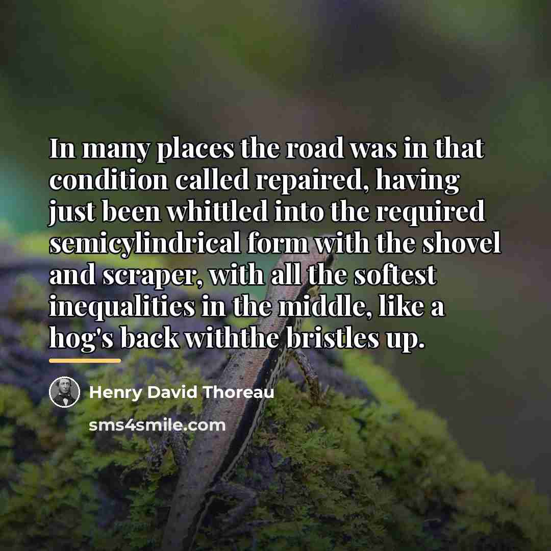 “In many places the road was in that condition called…” quote by Henry David Thoreau