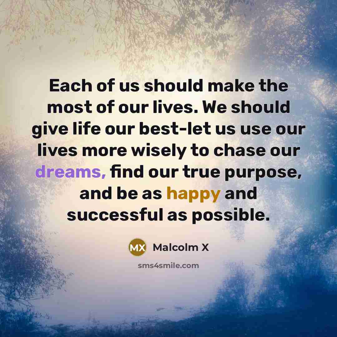 “Each of us should make the most of our lives.…” quote by Malcolm X