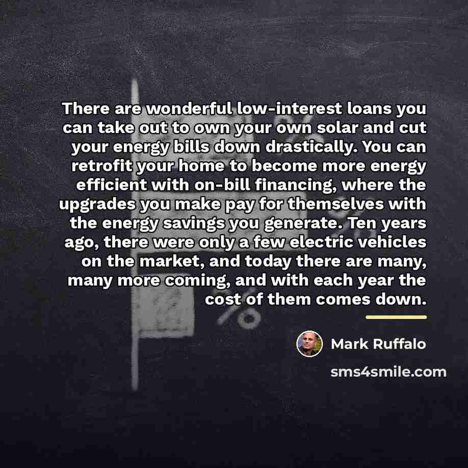 “There are wonderful low-interest loans you can take out to…” quote by Mark Ruffalo