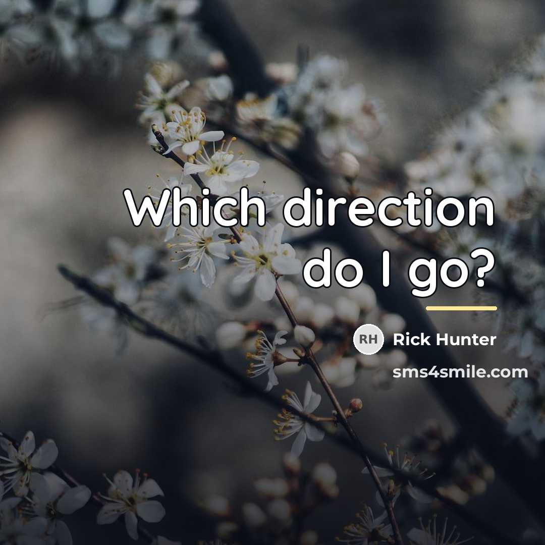 “Which direction do I go?…” quote by Rick Hunter