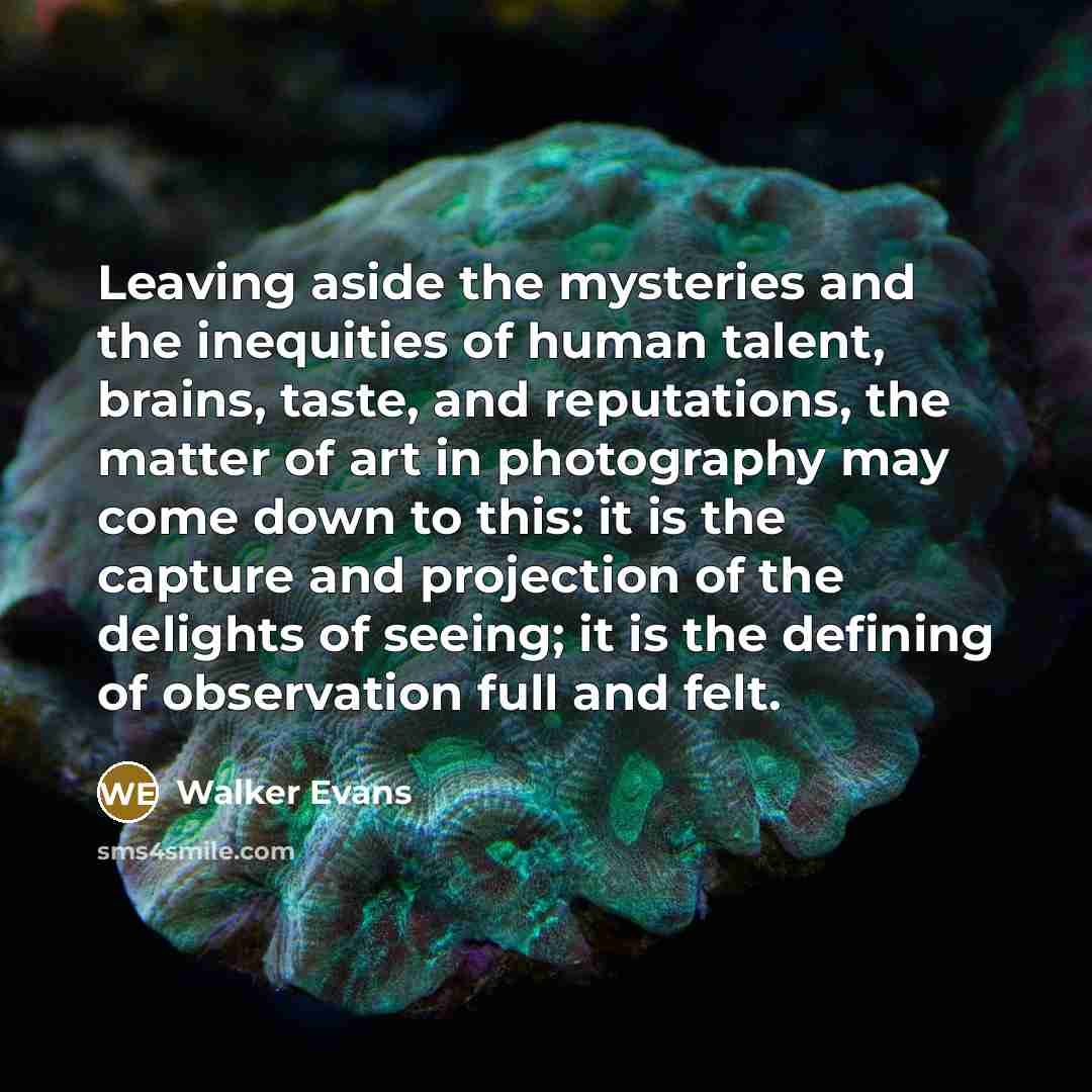“Leaving aside the mysteries and the inequities of human talent,…” quote by Walker Evans