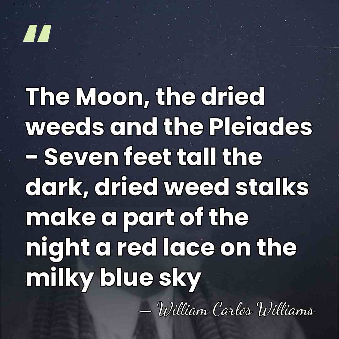 The Moon, the dried weeds and the Pleiades - Seven feet tall&hellip; - William Carlos Williams