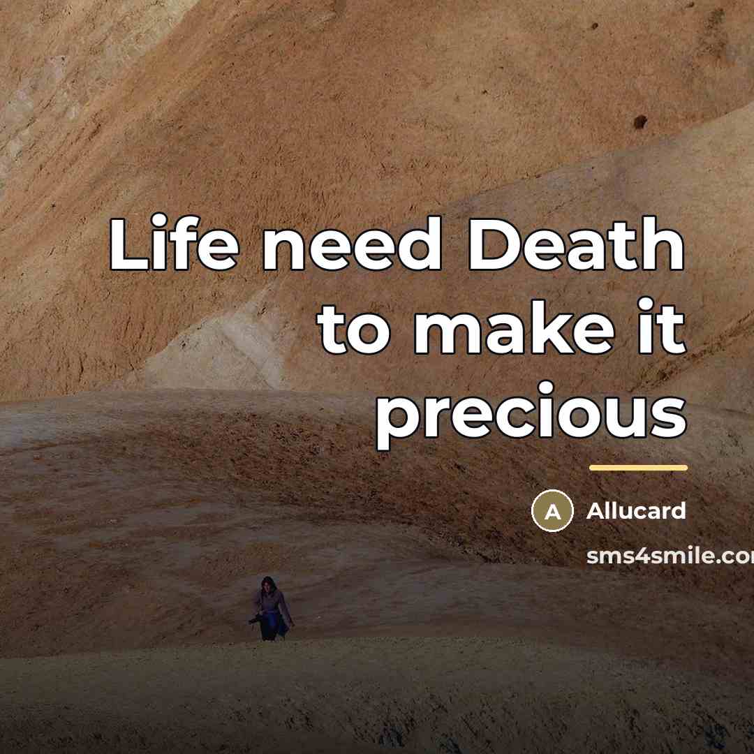 “Life need Death to make it precious…” quote by Allucard
