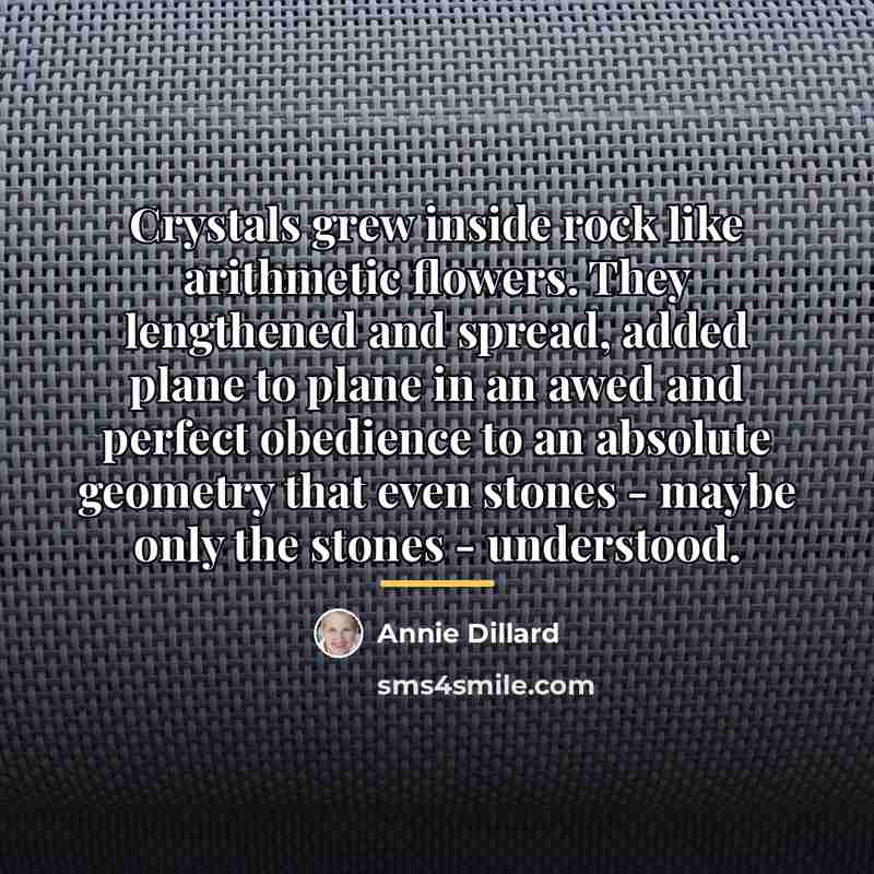 “Crystals grew inside rock like arithmetic flowers. They lengthened and…” quote by Annie Dillard