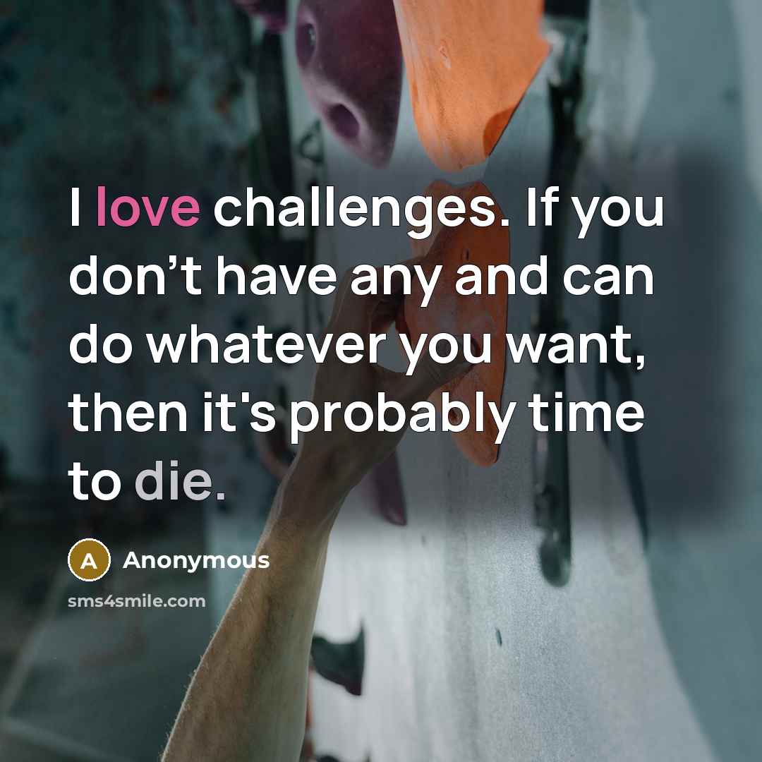 “I love challenges. If you don`t have any and can…” quote by Anonymous