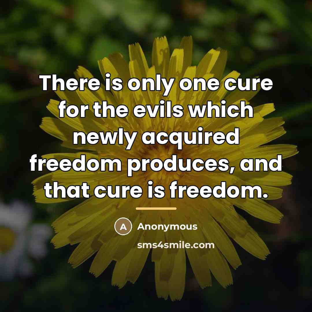 “There is only one cure for the evils which newly…” quote by Anonymous