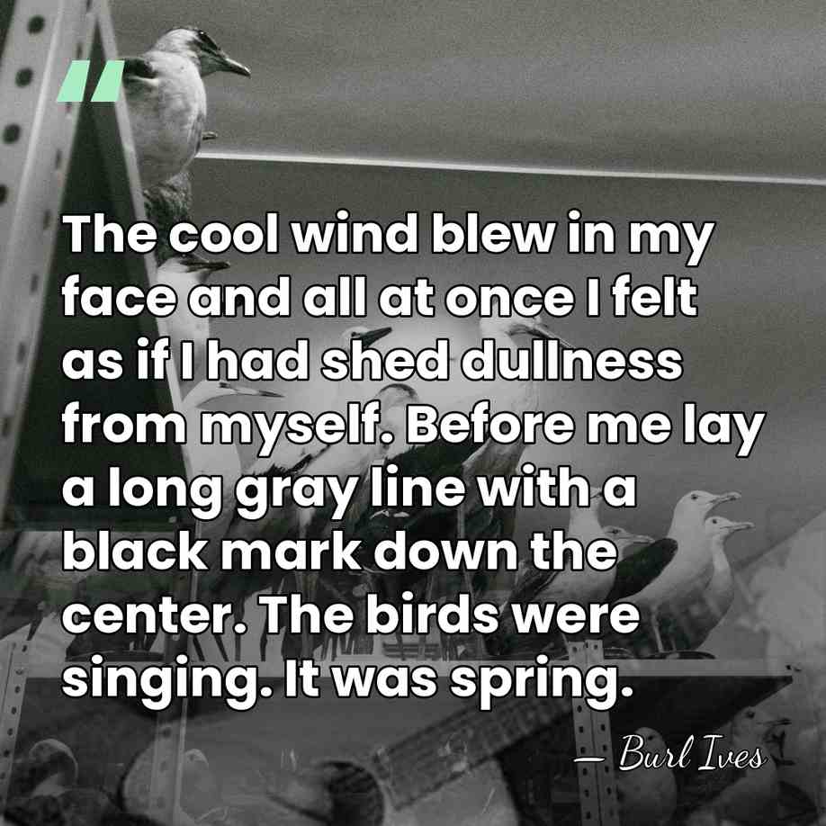 The cool wind blew in my face and all at once I&hellip; - Burl Ives