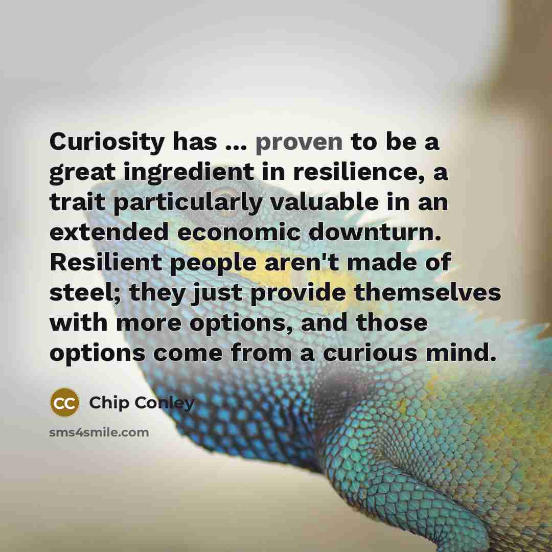 “Curiosity has ... proven to be a great ingredient in…” quote by Chip Conley