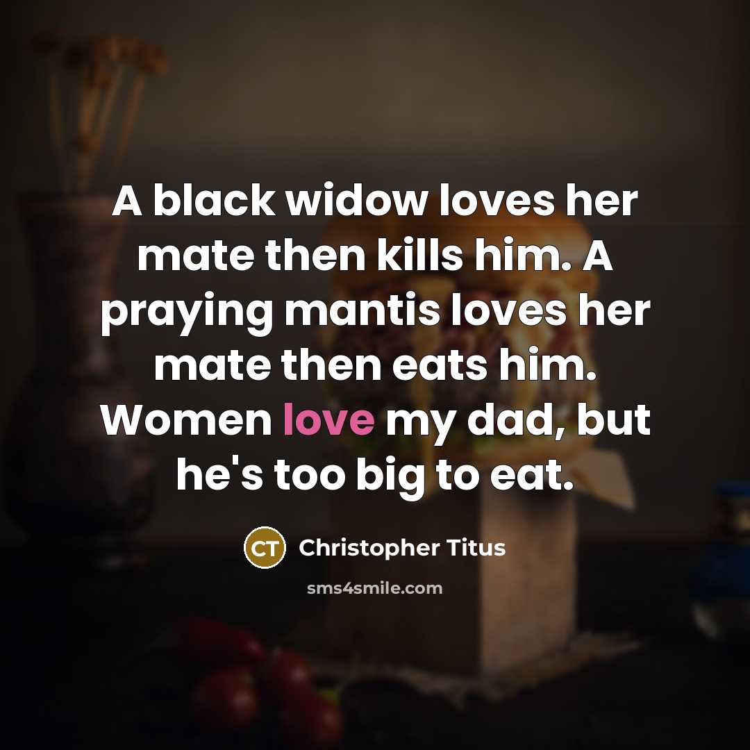 “A black widow loves her mate then kills him. A…” quote by Christopher Titus