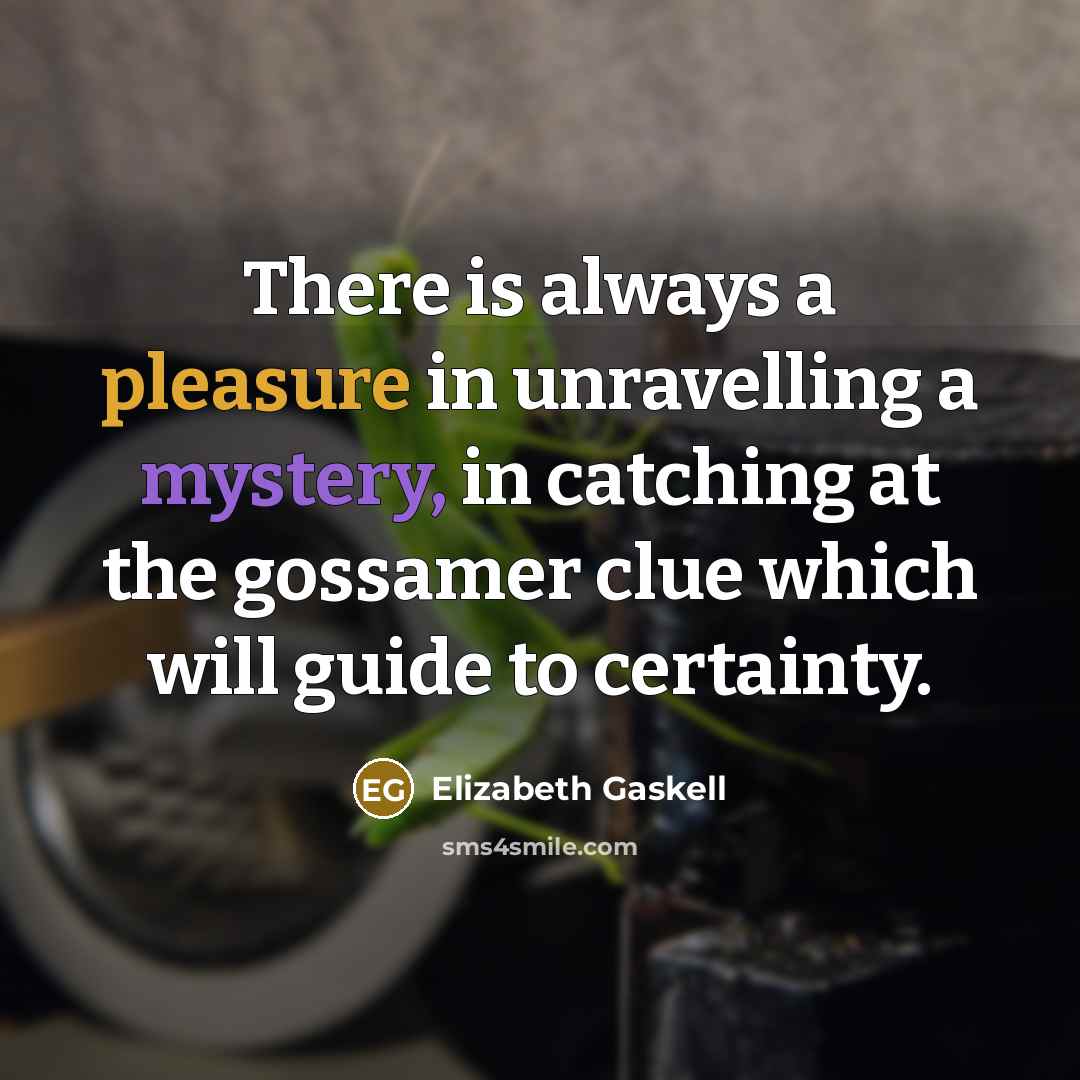 “There is always a pleasure in unravelling a mystery, in…” quote by Elizabeth Gaskell