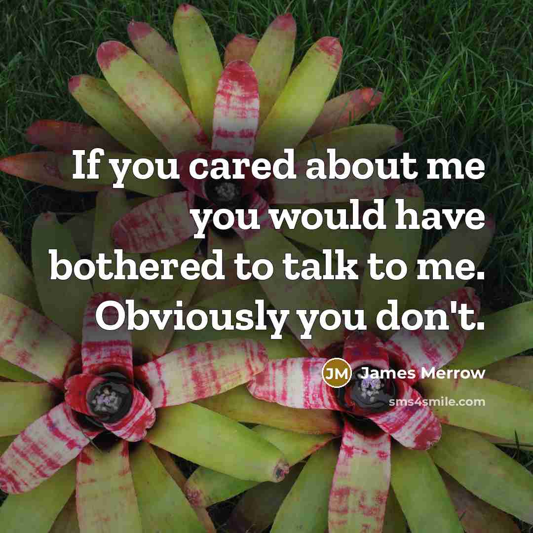 “If you cared about me you would have bothered to…” quote by James Merrow