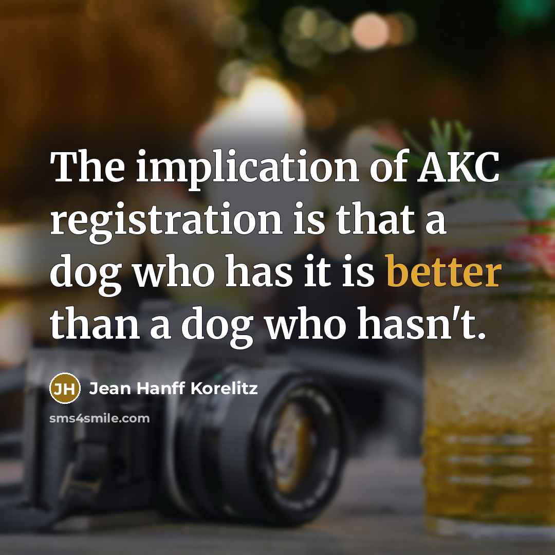“The implication of AKC registration is that a dog who has it is better than a dog who hasn't.” quote by Jean Hanff Korelitz
